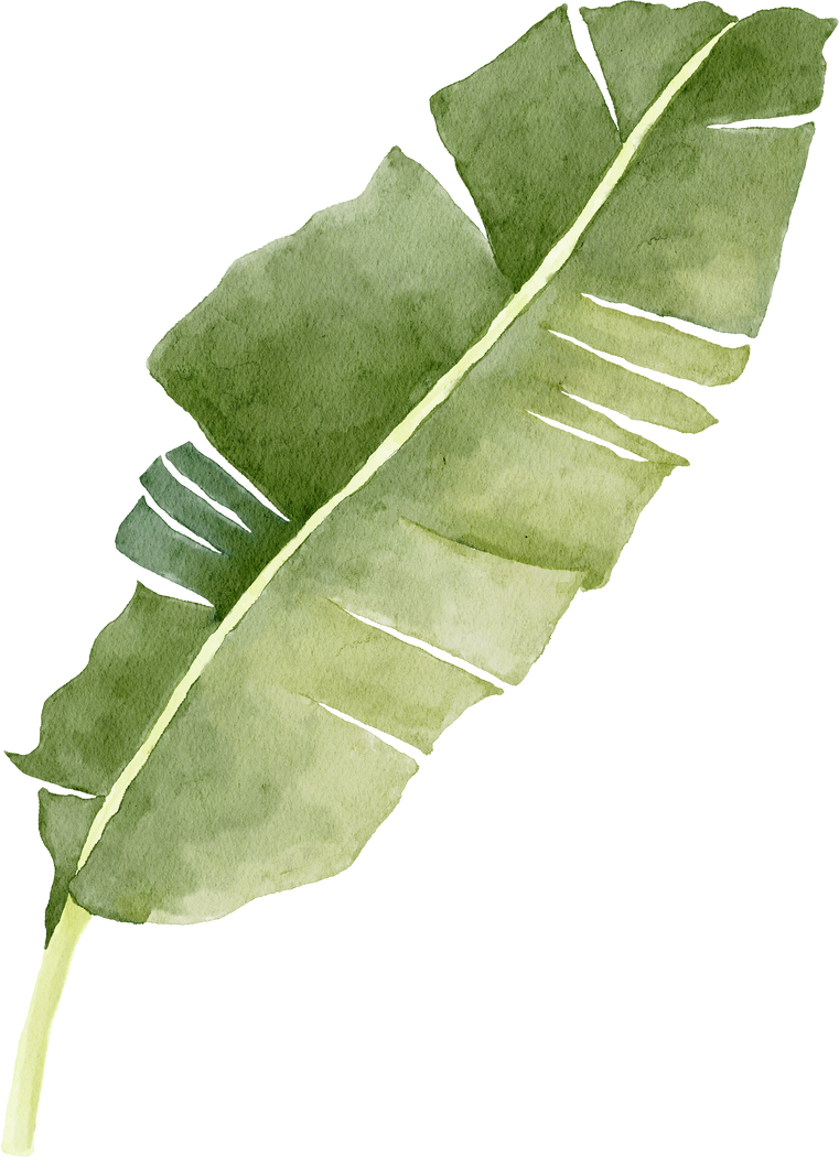 Tropical Leaves Element
